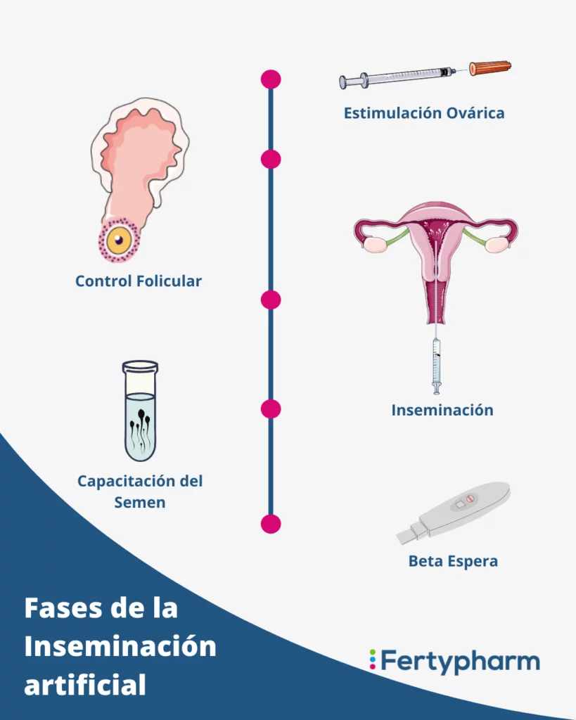 proceso inseminacion artificial